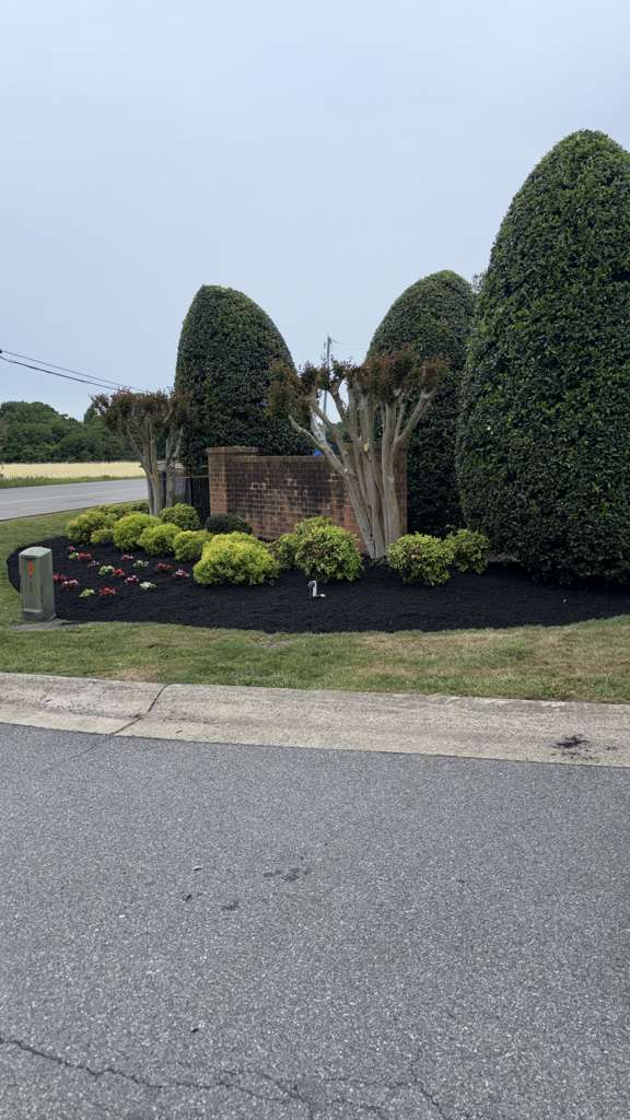 GAC Lawn Care Project 13